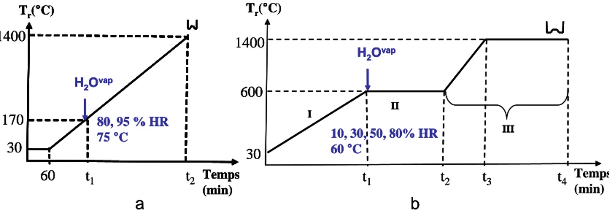 Figure  II.21. Protocoles de gazéification à 10 K.min -1  en TG-ATD modifié :   a - protocole G1, b - protocole G2 