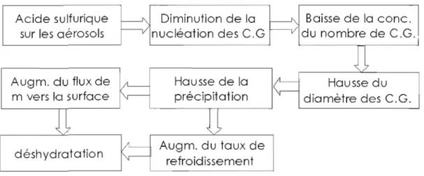Figure  1.6  : Étapes  du  processus  de  la  rétroaction  déshydratation-effet  de  serre  (C.G