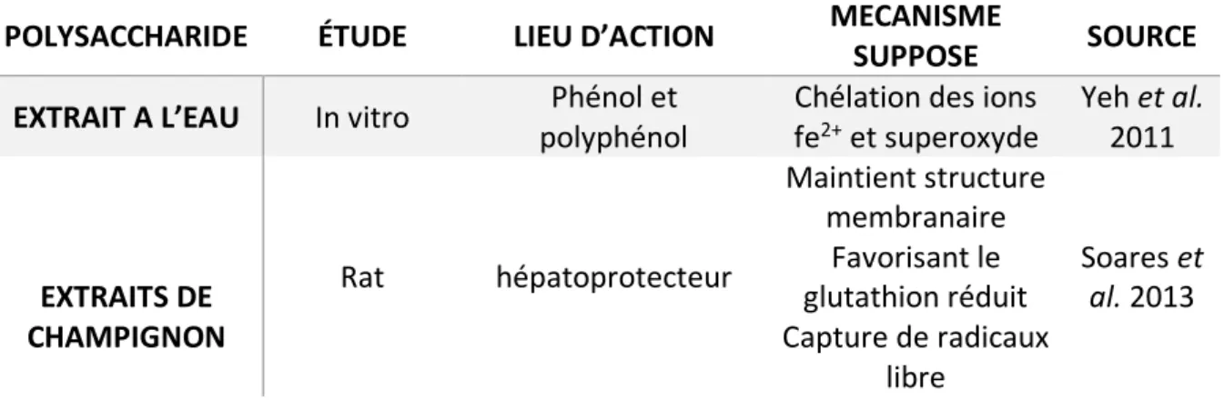 Tableau 5 Récapitulatif des études montrant un effet anti oxydant de G. frondosa 