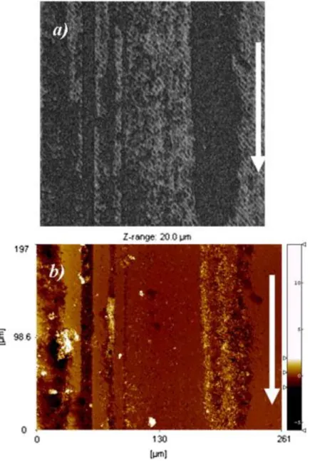 Fig. 8. : Typical (a) optical and (b) topographical view of the same zone of the friction track