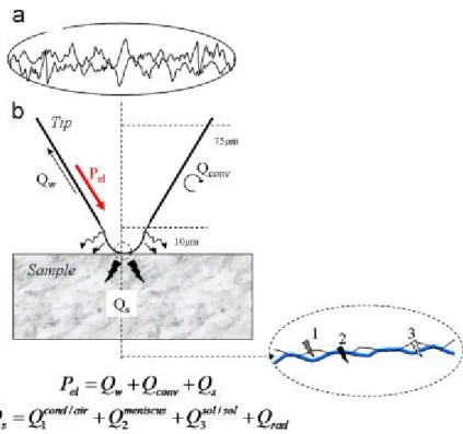 Fig. 4. : Relationship between the real tribocontact and SThM tip: (a) the tribocontact has  many micro-asperities connected to the surface roughness; (b) each asperity is like the SThM  tip where the various dissipative components can be identified