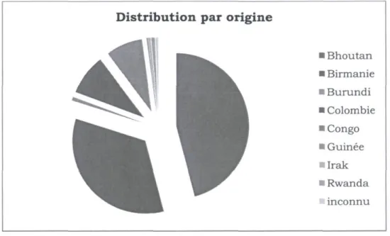 Figure  4 . Distribution par origine de la population  v u e par la CSIR 