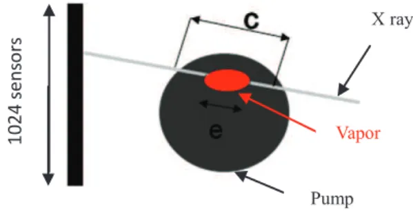 Figure 10 : View of the lead structure 