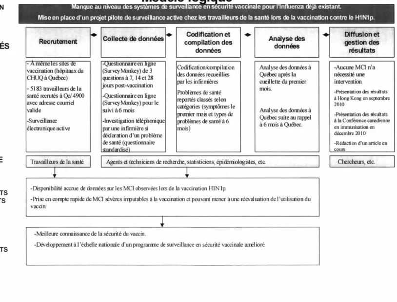 Figure II : Modèle logique du projet pilote 