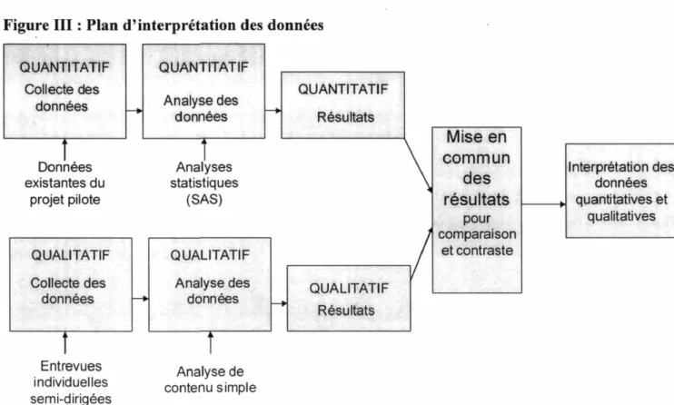 Figure III : Plan d'interprétation des données 