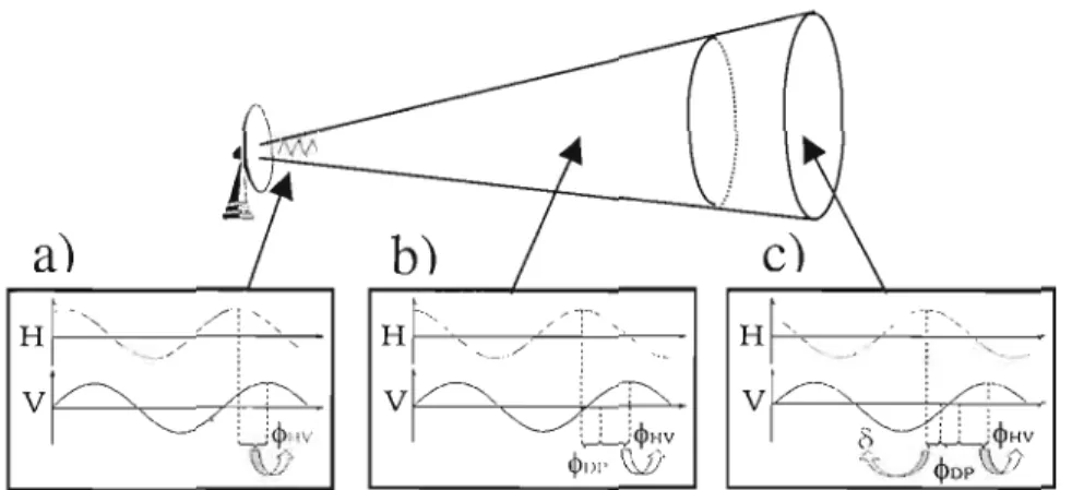 Figure  1.1  Représentation  des  différents  déphasages  lors  du  parcours  de  l'onde  polarisée:  (a)  Déphasage  à  l'émission,  &lt;PHV,  (b)  de  propagation,  &lt;pop,  et  (c)  de  rétrodiffusion,  C