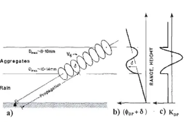 Figure 2.3  Représentation de  la distribution des  tailles  des grands agrégats  le  long de  la couche de  fusion  (a),  du  modèle de déphasage de  rétrodiffusion  (b) ainsi  que  le déphasage différentiel spécifique (c).(D'après Zrnic et al.,  1993) 