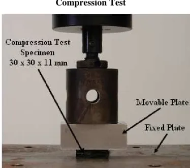 Figure 3 Test Specimen between the fixed and moveable plate during compression test 