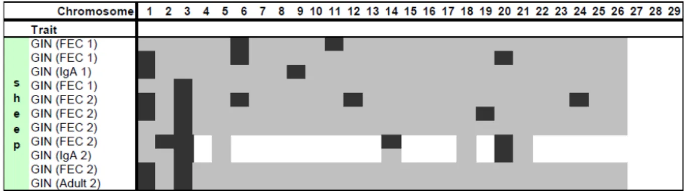 Tableau 5. Répartition chromosomique des QTL détectés pour la résistance aux nématodes  chez le mouton (Raadsma &amp; Fullard 2006) 