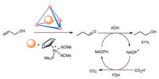 Figure 16 Encapsulation d’un complexe de ruthénium pour compatibilisation avec une alcool  déshydrogénase 