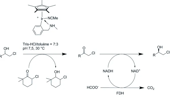 Figure 17 Système complexe multi-composants de catalyse hybride pour la racémisation d’halohydrines 