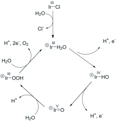 Figure 35 Mécanisme proposé pour l'oxydation de l'eau par un complexe d'iridium 