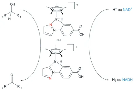 Figure 40 Conversion de NAD +  en NADH avec un complexe d’iridium 