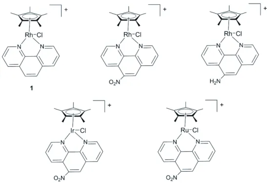 Figure 42 Complexe organométallique étudié par Canivet et coll. pour la régénération de NADH 