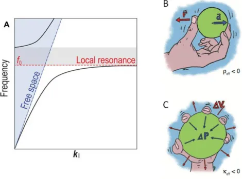 Figure 1.3 (A) Schematic representation of local resonance [2] , (B) and (C) Schematic illustration of the  dynamic behaviors of locally resonant metamaterials with negative effective mass density and bulk 