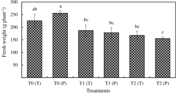 Fig. II.2.5 - Fresh weight of lettuce (grown in the pots of Tetragonia tetragonioides and  Portulaca oleracea) on the different treatments of nitrogen concentrations