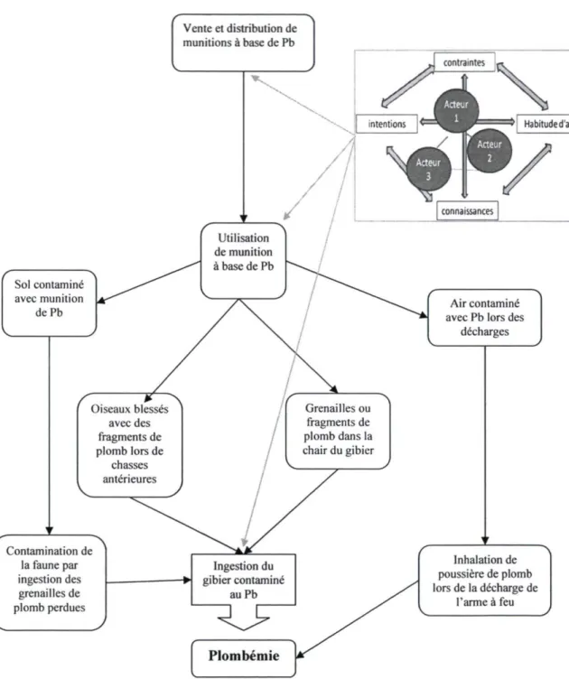 Figure 7 : Cadre conceptuel de l'étude 