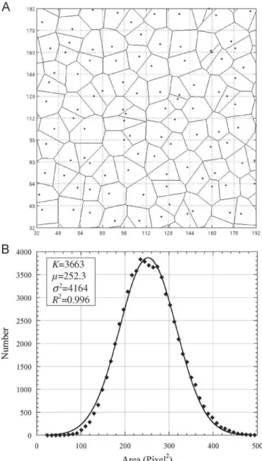 Fig. A1. A random network exhibiting a Gaussian distribution of cells’ areas. This network has been constructed by randomly choosing one point in every element of a 16  16 square grid in a 4096  4096 domain, and by subsequently extracting the voronoi dia