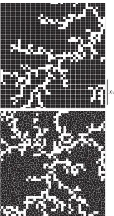 Fig. 1. 672  672 highlight of generic patterns constructed using a square grid (above) and a random network (below)