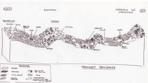 Figure 1. Bloc diagram made by students representing a transect of the Neste System territory Landscape. 