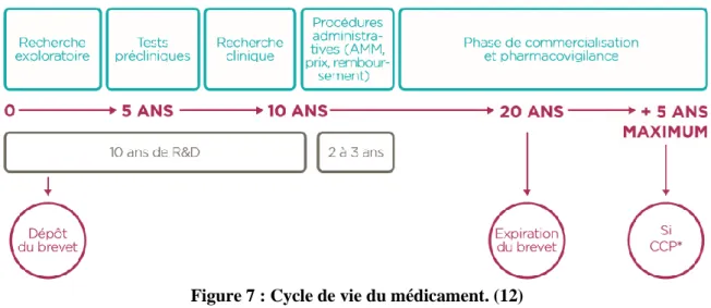 Figure 7 : Cycle de vie du médicament. (12) 