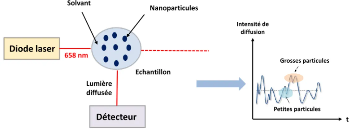 Figure 2. 16 : Schéma représentatif de la diffusion dynamique de la lumière. 
