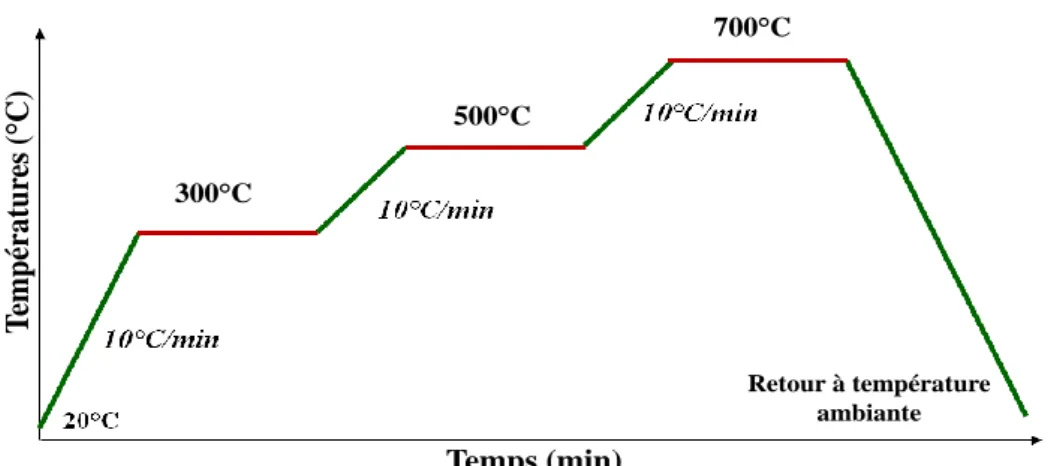 Figure 1: Protocole expérimental de monté en température de 10°C/minute utilisée pour  l’acquisition in-situ des spectres XANES 