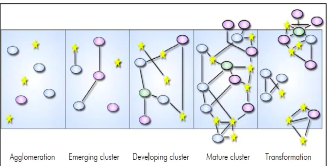 Figure 6 : Cycle de vie d’un cluster (Andersson, Serger Schwaag, Sörvik et Hansson Wise, 2004,  p