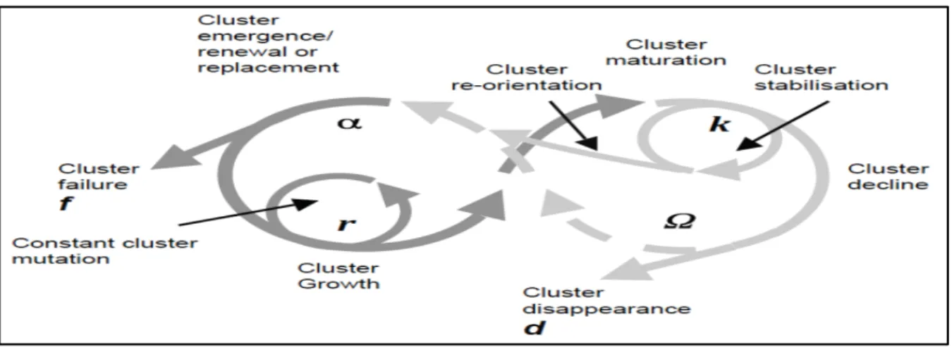 Figure 12 : Modèle de cycle adaptatif du cluster modifié (Martin et Sunley, 2011, p. 31)  