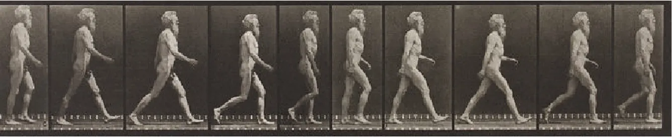 Figure 1.3: The cycle of locomotion is clearly shown in this sequence of a man walking: the sin- sin-gle foot support stance, the double support stance and the transitions between