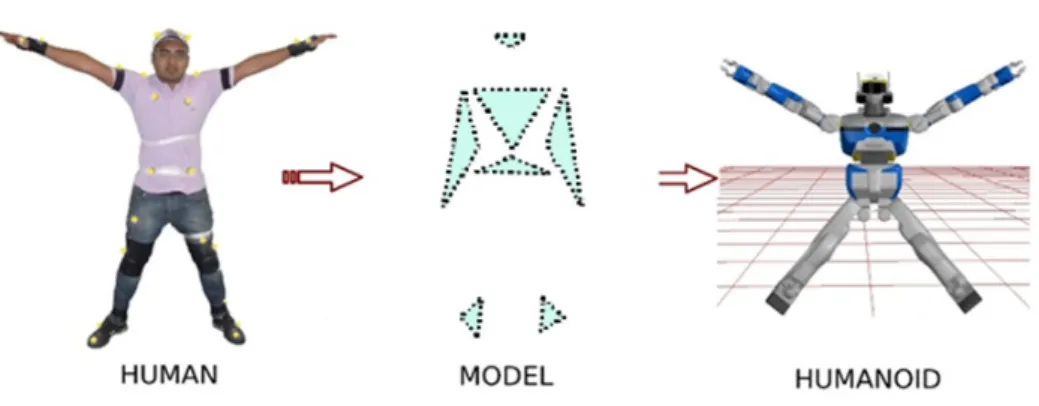 Figure 3.8: Human→Humanoid Normalized Model→Humanoid. Motion capture position data from the human is transferred on the normalized model and associated with the planes and humanoid joints