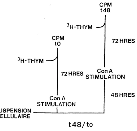 Figure a. Signification du rapport t48/t0 défini par le test 
