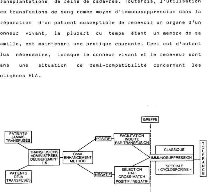 Figure d. Importance de la "ConA enhancement method" dans la