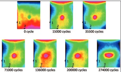 Fig. 6. Evolution of the impact damage under fatigue loading by IR thermography 