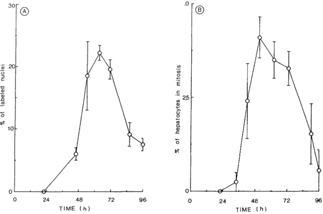 Fig. 2. Kinetics of entry into S phase and mitosis of suckling rat  hepatocytes. Medium was changed 2 h after plating to a medium  supplemented with EGF (10 ng/ml) and glucagon (600 nM)