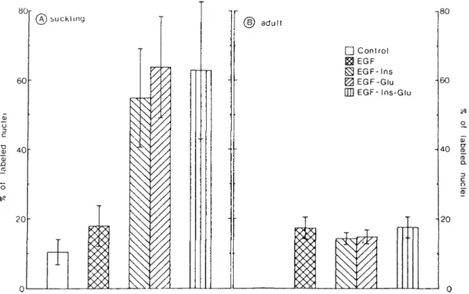 Fig. 5. Effects of combinations of EGF, insulin, and glucagon on the  cumulative entry into S phase of suckling (A) and adult (B) rat hépa­