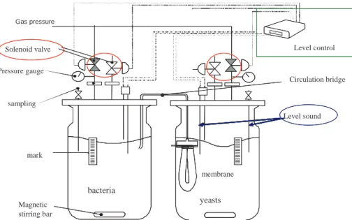 Fig. 1. Membrane bioreactor used for yeast/bacteria co-cultures.