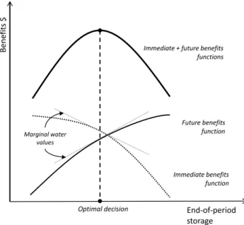 Figure 0.1  Immediate and future benets functions (Tilmant et al. (2008))