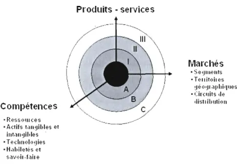 Figure 2.4  : Les  frontières  de  la  firme et le contour de  son champ stratégique  Source:  Allaire et  Firsirotu,  2004 