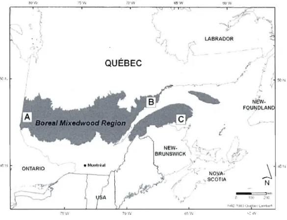 Figure AA.l.  Study locations within the boreal mixedwood region of Quebec,  Canada: Ca) Temiskaming  &amp; Abitibi, Cb)  the North Shore, Cc)  the Gaspé Peninsula