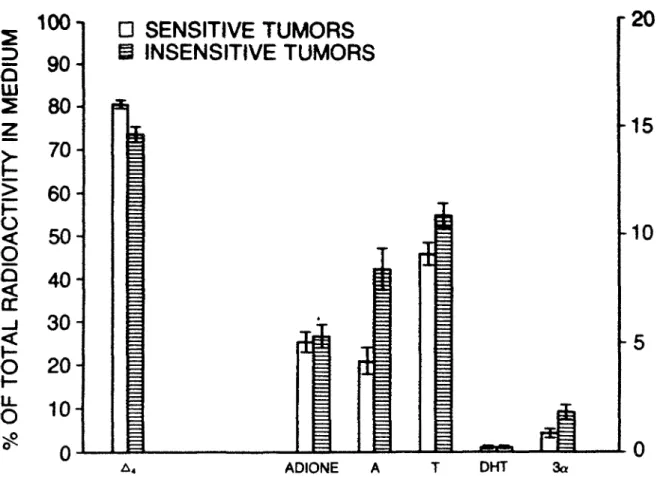Fig. 1. In vitro conversion of androstenedione (&amp;&#34;+) to 