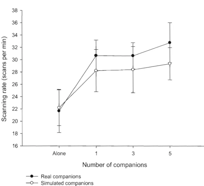 Figure  1.4:  Variation  of scanning  rate  of focal  nutmeg  mannikins  as  a  function  of  group  size  with  real  companions  (black  circles)  and  simulated  companions  (white  circles)