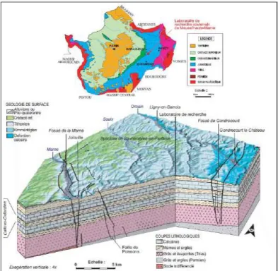 Figure 2.1: Block diagram of the geological formations of Meuse / Haute-Marne [Andra, 2005].
