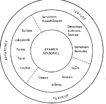 Figure 1. Les caractéristiques sensorielles de l’appréciation des fromages (Lavanchy et al., 1993)