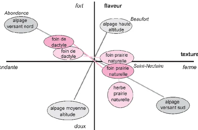 Figure  2.  Différenciation  des  caractéristiques  sensorielles  (flaveur  et  texture)  de  différents  fromages  selon  la  nature  des  fourrages