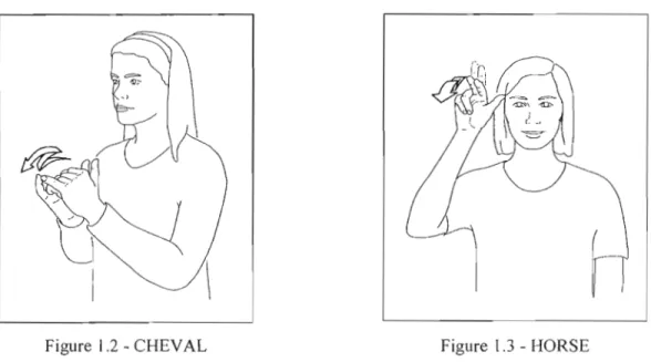 Figure  1.2  - CHEVAL  Figure  1.3  - HüRSE 
