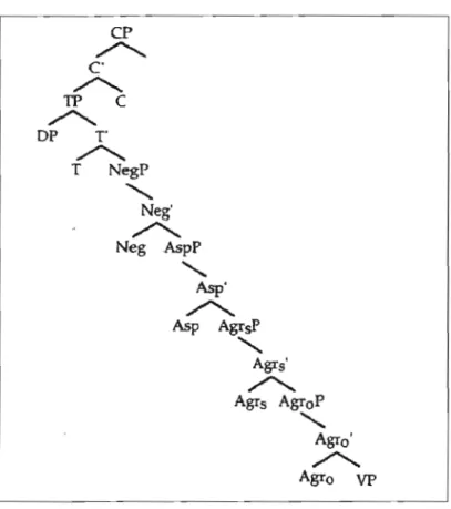 Figure  1.6  - Structure de  base de  la  phrase ASL (MacLaughlin,  1997) 