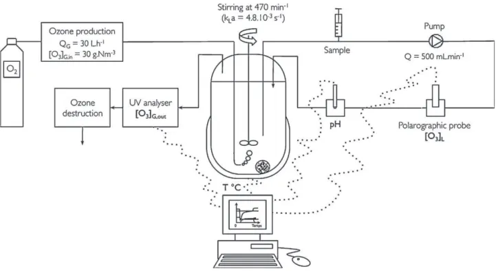 Fig. 1. Experimental set-up.