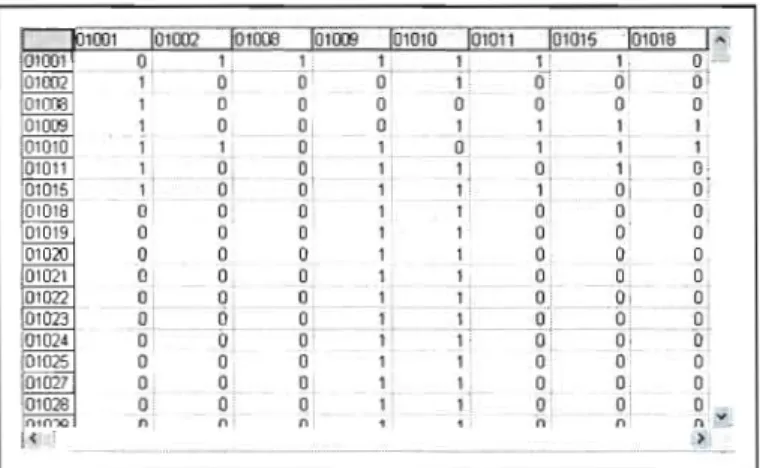 Figure  3.3  Exemple d'une  matrice dans  le  logiciel d'analyse de réseaux  Ueine/. 