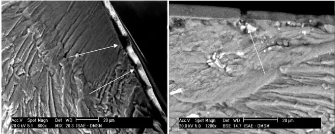 Figure 9:  (a) Specimen with anodized coating with multi-site crack nuclea